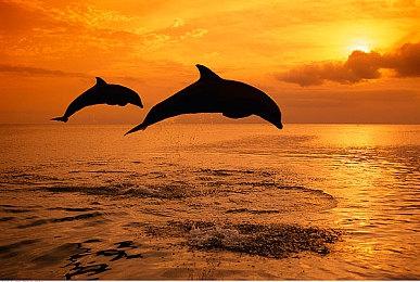 接近完美的移植精品 《死亡回归》PC版性能表现分析